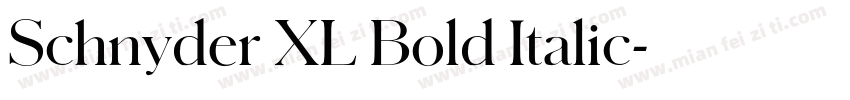 Schnyder XL Bold Italic字体转换
